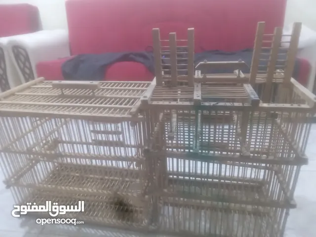 سلام وعليكم قفص للبيع لصيادي نباع بقه بس مو صيادي اة مروسه