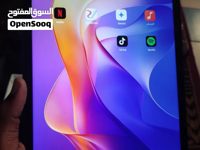 ridmi pad 2