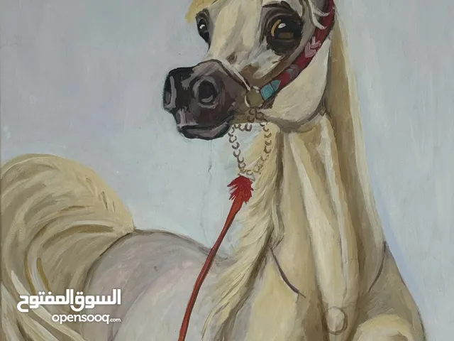 لوحة زيتية للحصان العربي Oil painting Arabian مقاس 50*60 علي كانفس Horse