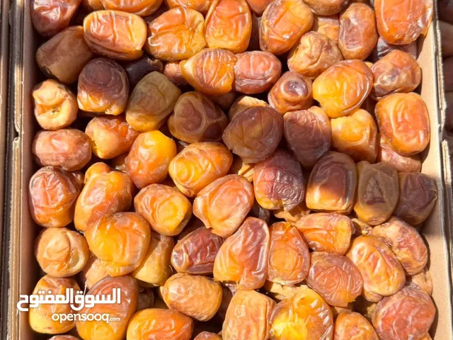 سكرى القصيم رطب