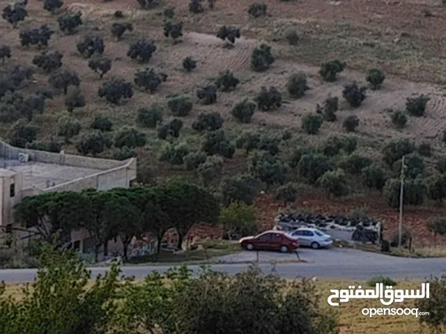 Mixed Use Land for Sale in Jerash Al-Msherifeh