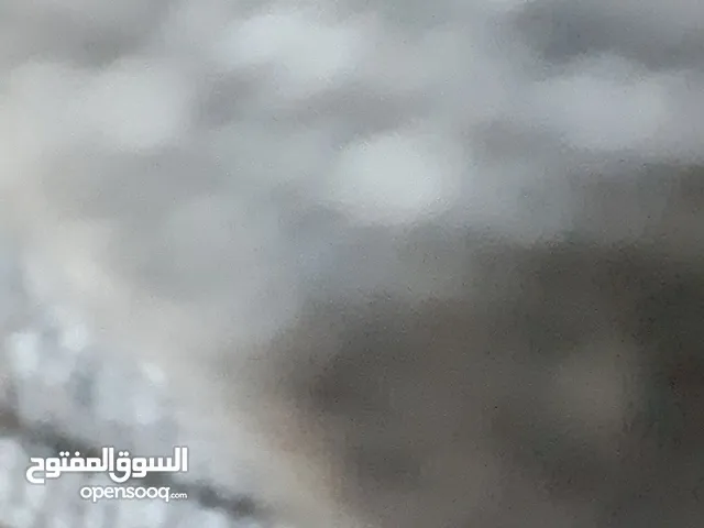 بيجو 301 2017
