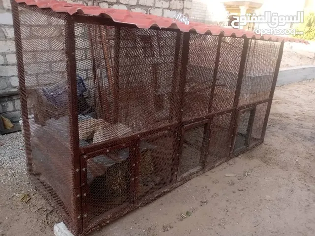 بسم الله الرحمن الرحيم