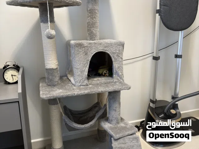 Cat tree with toys