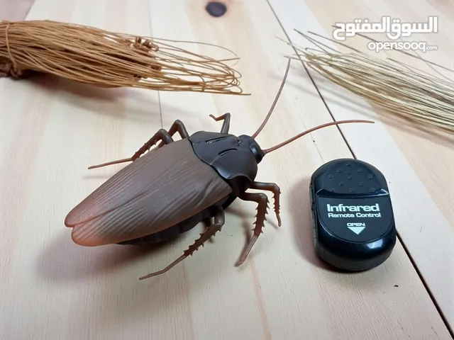 جاهز تفاجئ أصدقاءك؟صرصور ضخم يتحرك بتحكم عن بعد بشكل واقعي جداً السعر فقط 21 وتوصيل مجاني