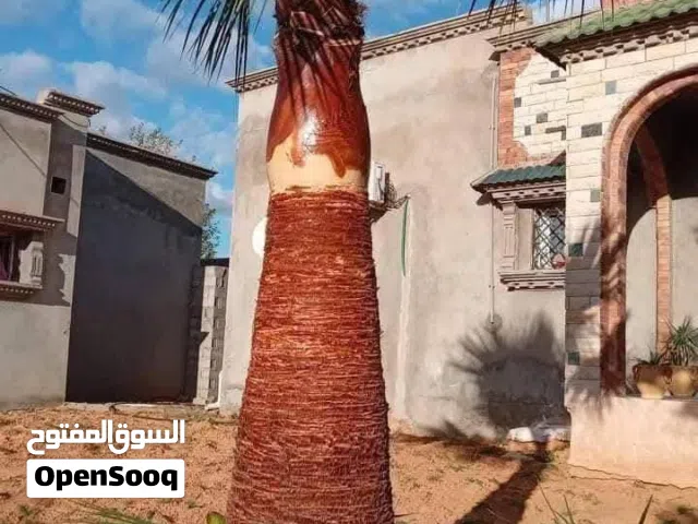 ارض للبيع في السراج مساحتها 600 متر
