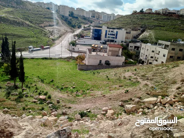طبربور دونم و68م بسعر شقة البيع تصلح اسكان البيع لظرف خاص مخمن اداري 1م 120دينار