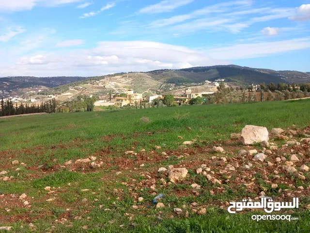 Mixed Use Land for Sale in Jerash Kufair