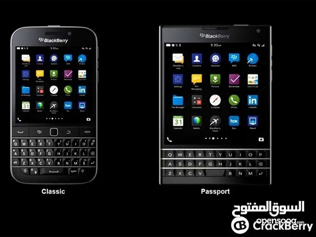 Blackberry Others Other in Sana'a