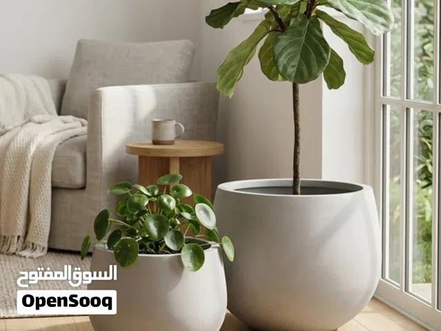 طقم أحواض وأواني زرع مودرن شيك جداً للديكور والحدائق