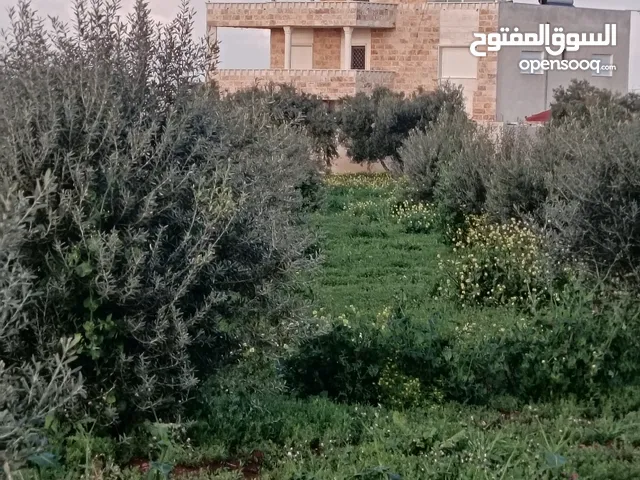 مزرعه سرايا الشهم vip في شمال اربد مع مسبح داخلي مدفا