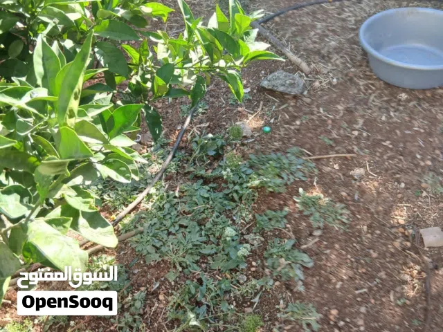 فريج للبيع