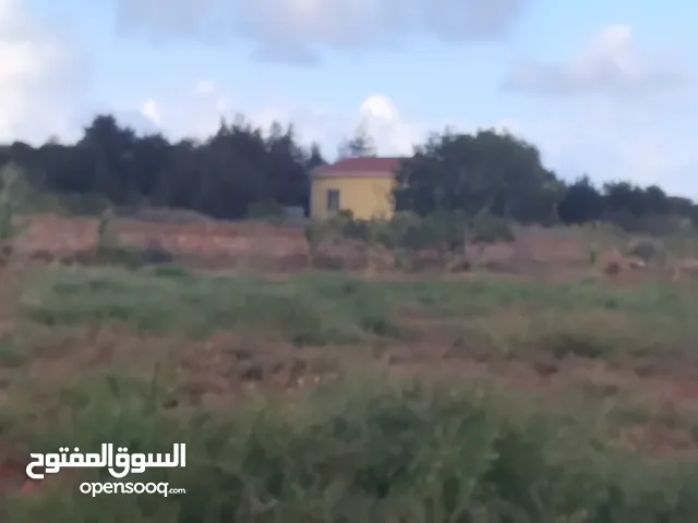 Farm Land for Sale in Jebel Akhdar Cyrene