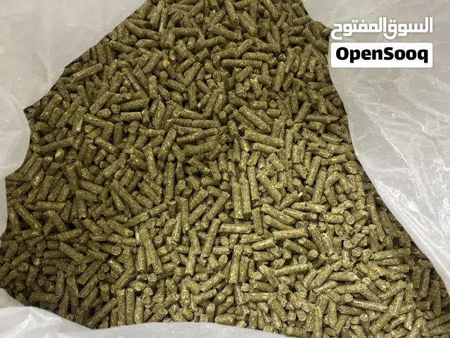 اكل ارانب مجاناً