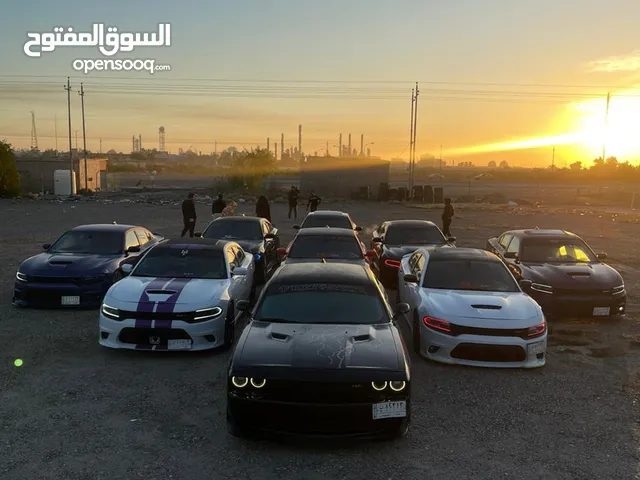 Dodge Challenger 2010 in Basra