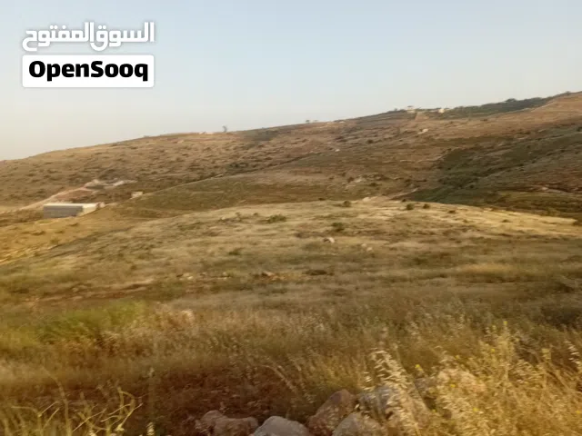 Mixed Use Land for Sale in Jerash Unaybah
