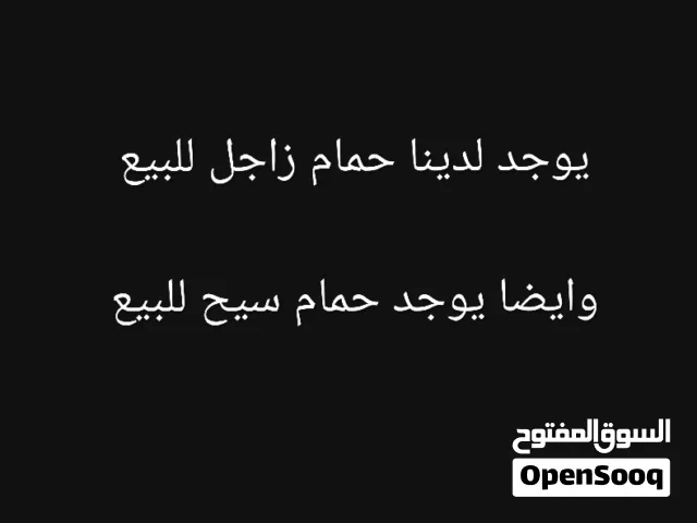 حمام للبيع الوصف مهم
