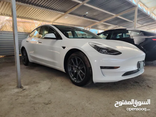 2023 تيسلا موديل 3 Standard Plus