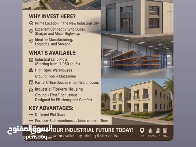 Al Qassimia city 4 المدينة القاسمية