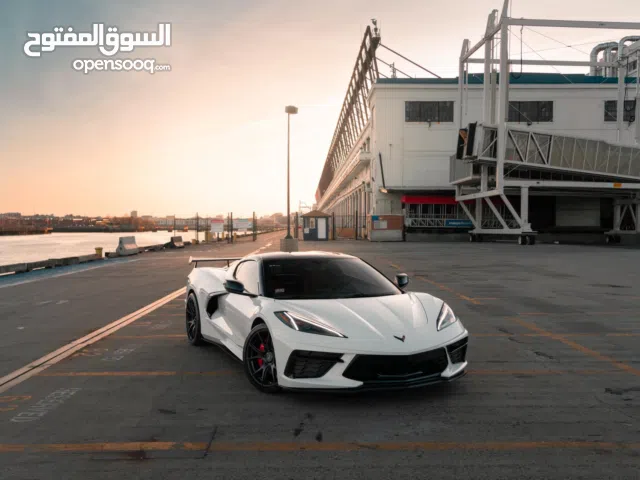 ابو زياد ابراهيم