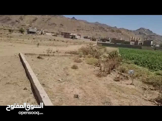 4 لبن شارع 14متر حررر ومعمد جاهز محتااااج عرررررطة العيد من سعيد الحظ يل