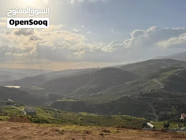 ارض تصلح لشاليهات او مزارع باطلاله سد الملك طلال