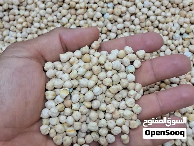 دنجو عماني درجه أولى