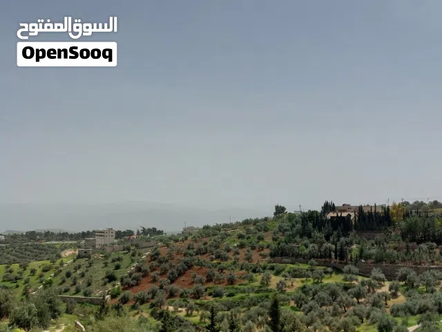 Farm Land for Sale in Jerash Other