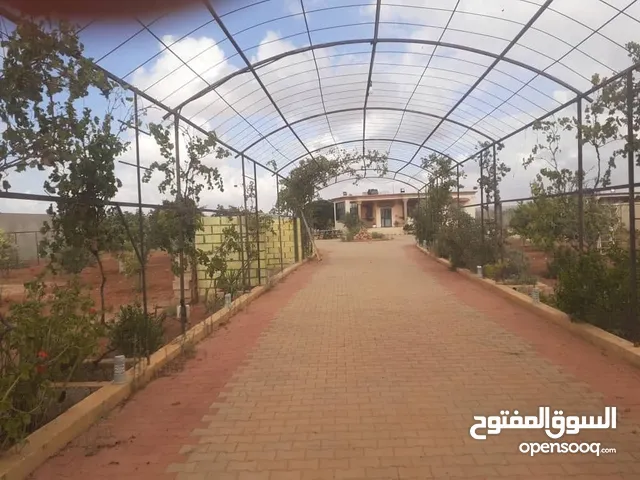 3 Bedrooms Farms for Sale in Benghazi Bu Hadi