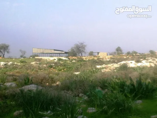Mixed Use Land for Sale in Tulkarm Iktaba