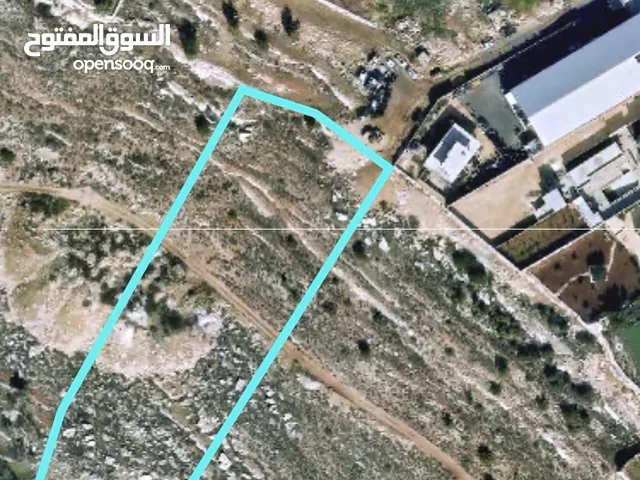 Farm Land for Sale in Ramallah and Al-Bireh Beitunia