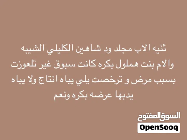 بكرة ماركة البيع يلي يبا انتاج ونعم