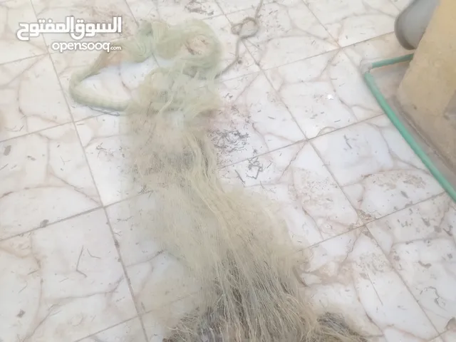 سليت صيد عين 16 دوار 18 نضيفه استعمال 2 صيد