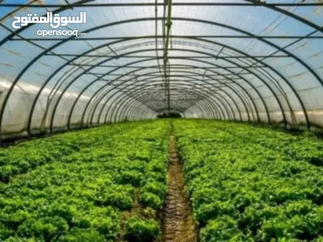 ارض زراعيه للاجار صوب زراعيه صوب 9*40
