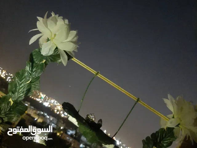 ارجوحة خشبية