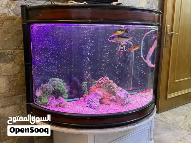 حوض سمك  للبيع