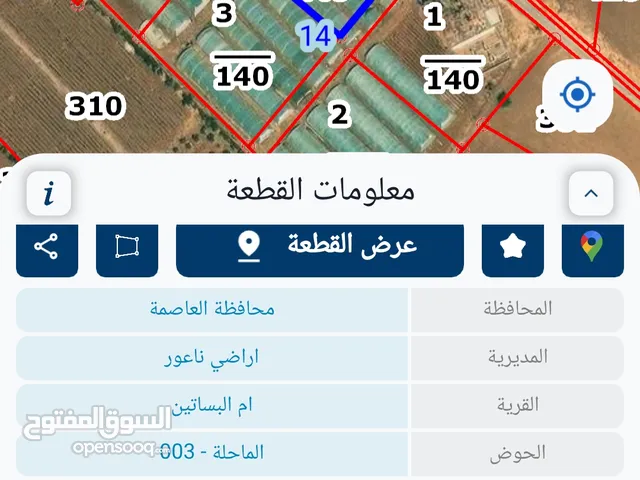 Farm Land for Sale in Amman Um al Basateen