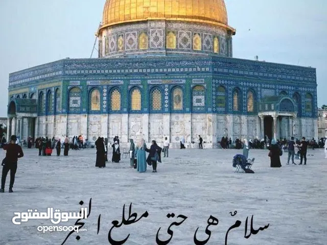 عمر الحجاج