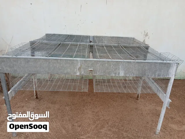 بتارية ارانب عدد 4أقفاص للبيع
