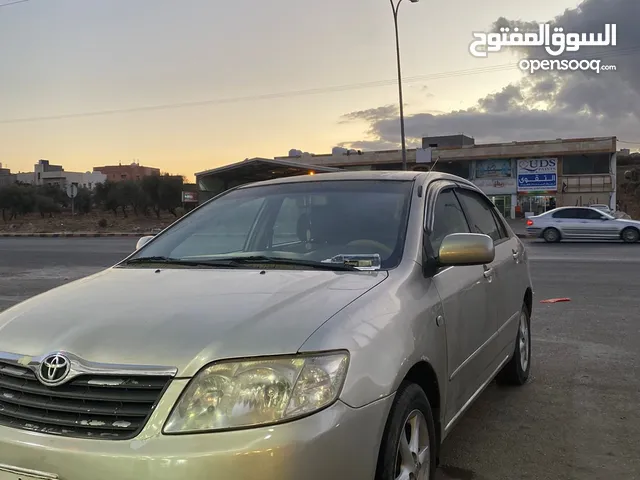 Used Toyota Corolla in Amman