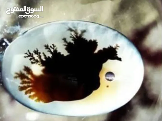 جوهرة عقيق شجري طبيعي و اصلي