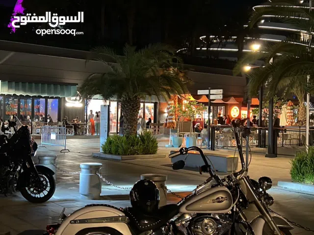 هارلي ديفدسون