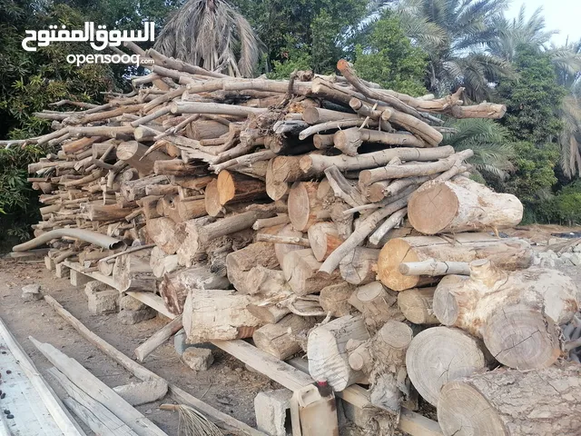حطب غاف و زام