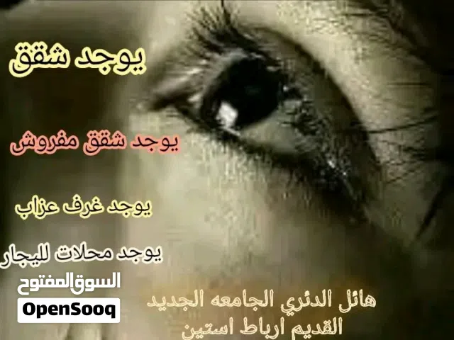 يوجد شققق. اليجارررر