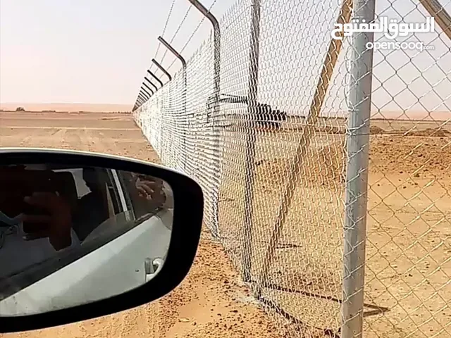 تركيب شبوك مزارع وزراعة النخيل