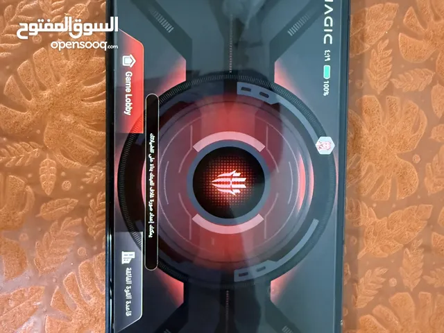 Others Not Defined 256 GB in Northern Governorate