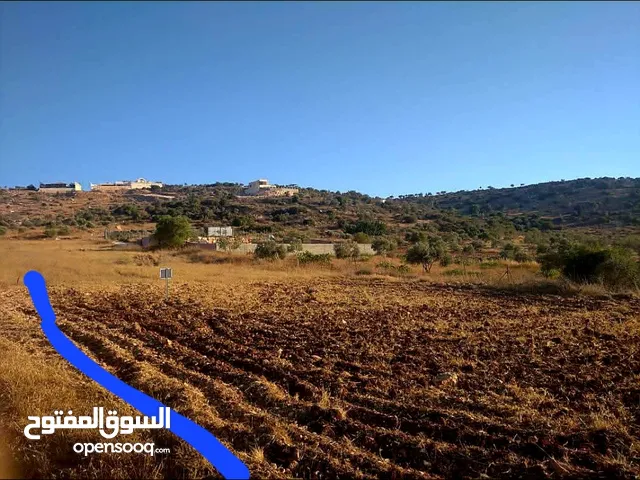 نمرتين ارض