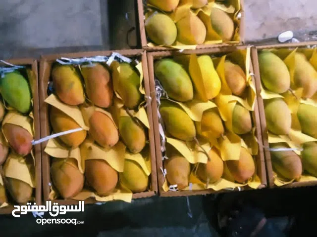 فواكه ، مانجو ، بالجملة