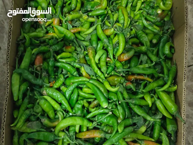 Selling bags.Fruits.and Vegetables Financing pledges for Supermarkets Restaurants.kitchens & Hotels.