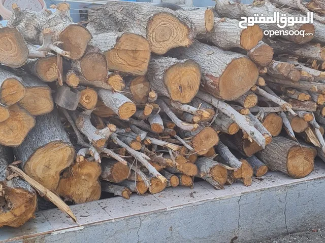 خشب اشجار للبيع